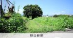 レス1番のリンク先のサムネイル画像