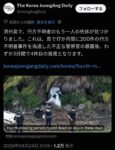 レス3番の画像1