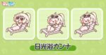 レス29番の画像1