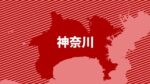 レス2番のリンク先のサムネイル画像