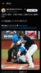 レス5番の画像1