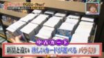 レス13番の画像1