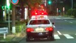レス3番のリンク先のサムネイル画像