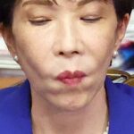 レス239番の画像1
