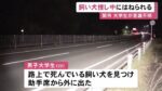 レス1番のリンク先のサムネイル画像