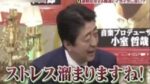 レス15番の画像1