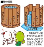 レス45番の画像1