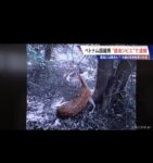 レス1番の画像6