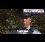 レス1番の画像13