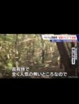 レス1番の画像11