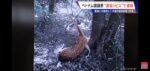レス1番の画像4