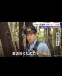 レス1番の画像12