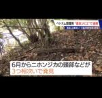 レス1番の画像14